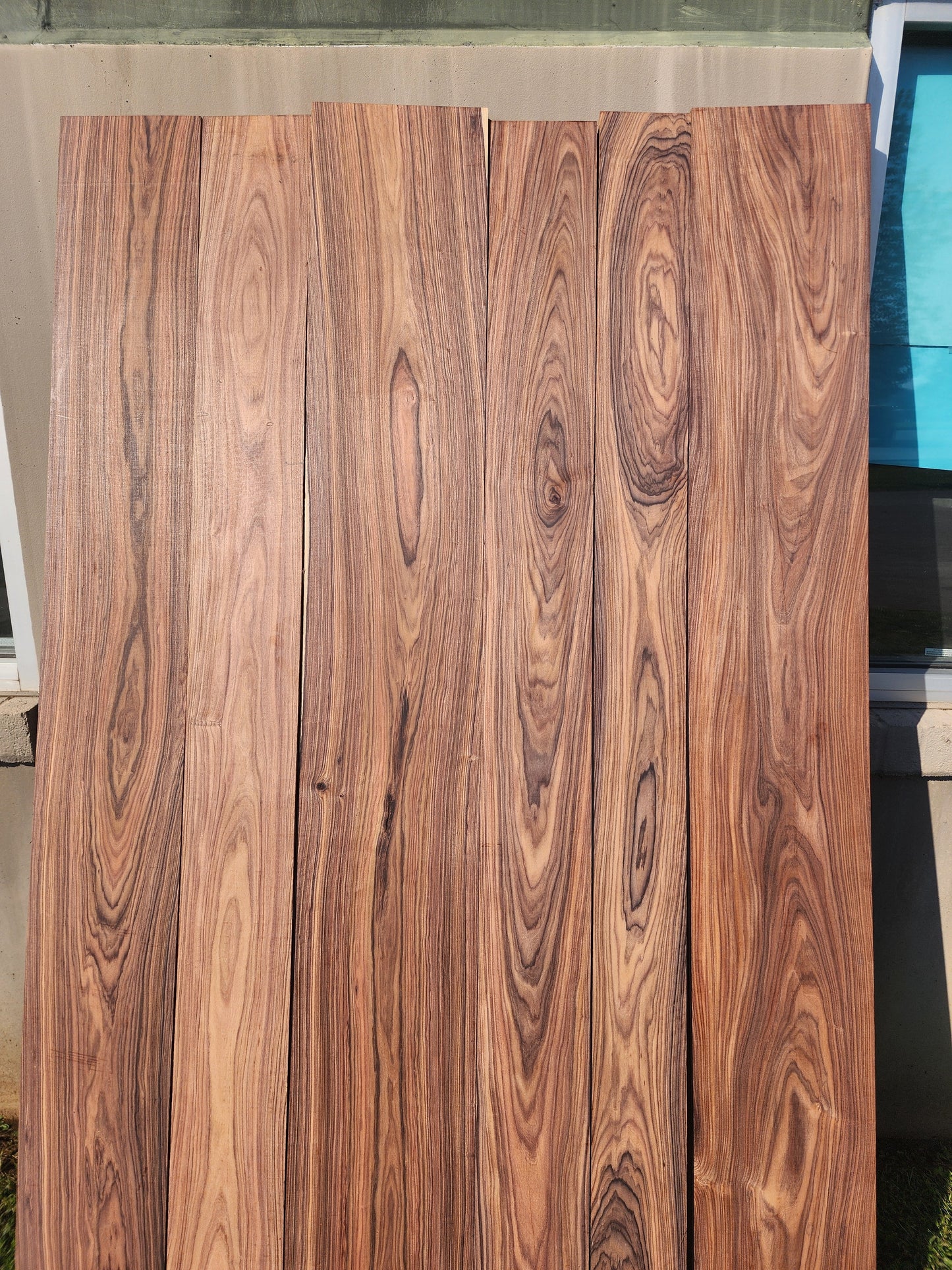 ***SALE*** Bolivian Rosewood Shorts (Limited Time) 5 and 10BF bundles