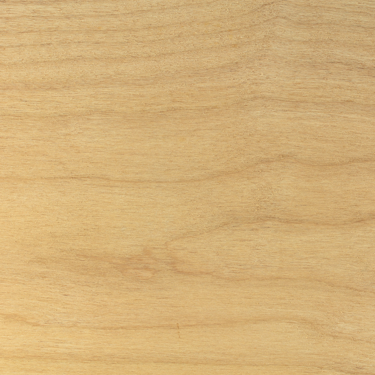 Alder, Superior/Clear